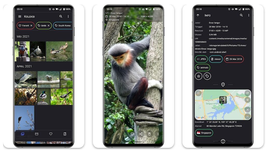 Open‑Source Android Gallery & Metadata Explorer